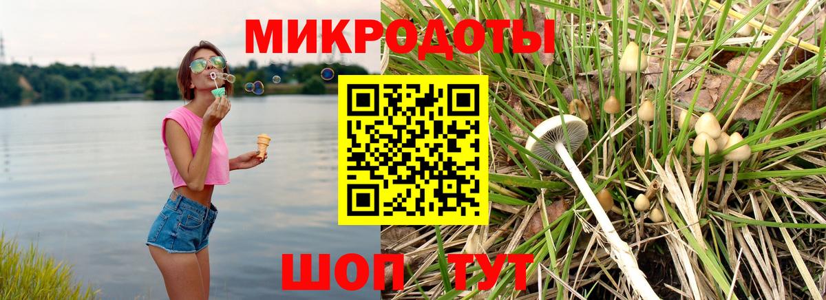 Псилоцибиновые грибы Magic Shrooms  купить наркотики сайты  Псилоцибиновые грибы прущие грибы  Белгород  Вход с VPN 